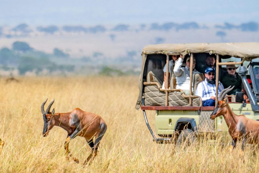 XCLU502 The Best of Kenya and Tanzania – Great Migration and Big Game Safari