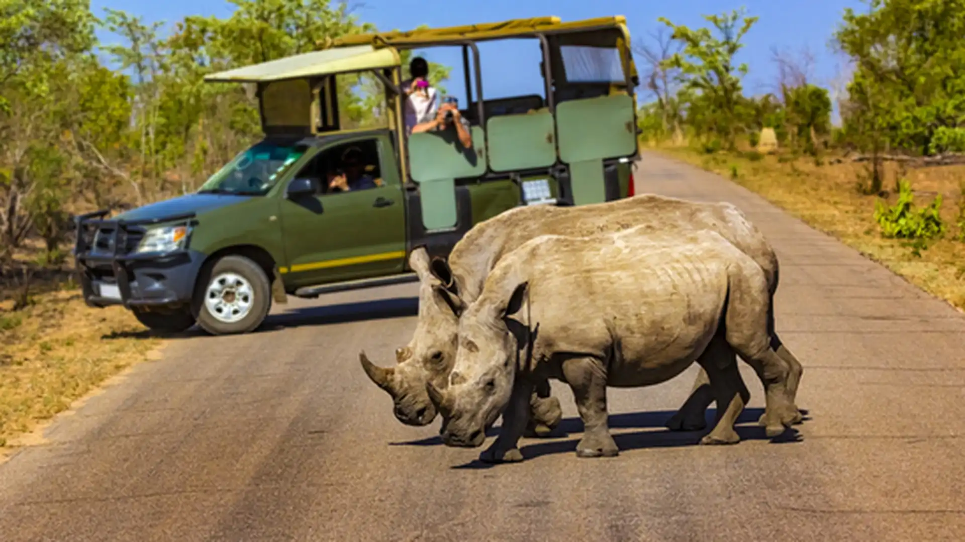 Day 4 - Kruger National Park