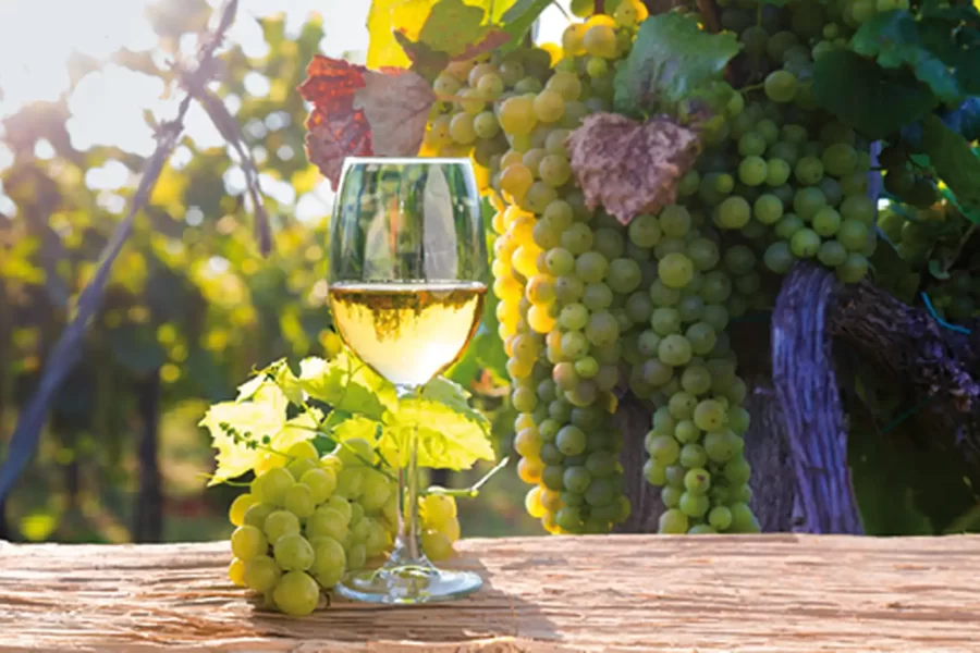 The Essence of Tuscany – A Classic Touring Holiday