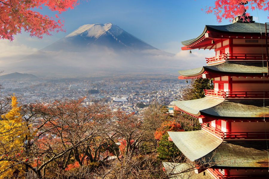 XCLU504 A Thousand Petals – Cherry Blossom Signature Tour of Japan