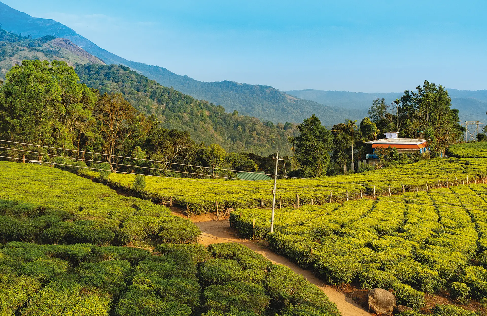 Day 7 - Ooty - Coimbatore - Kochi