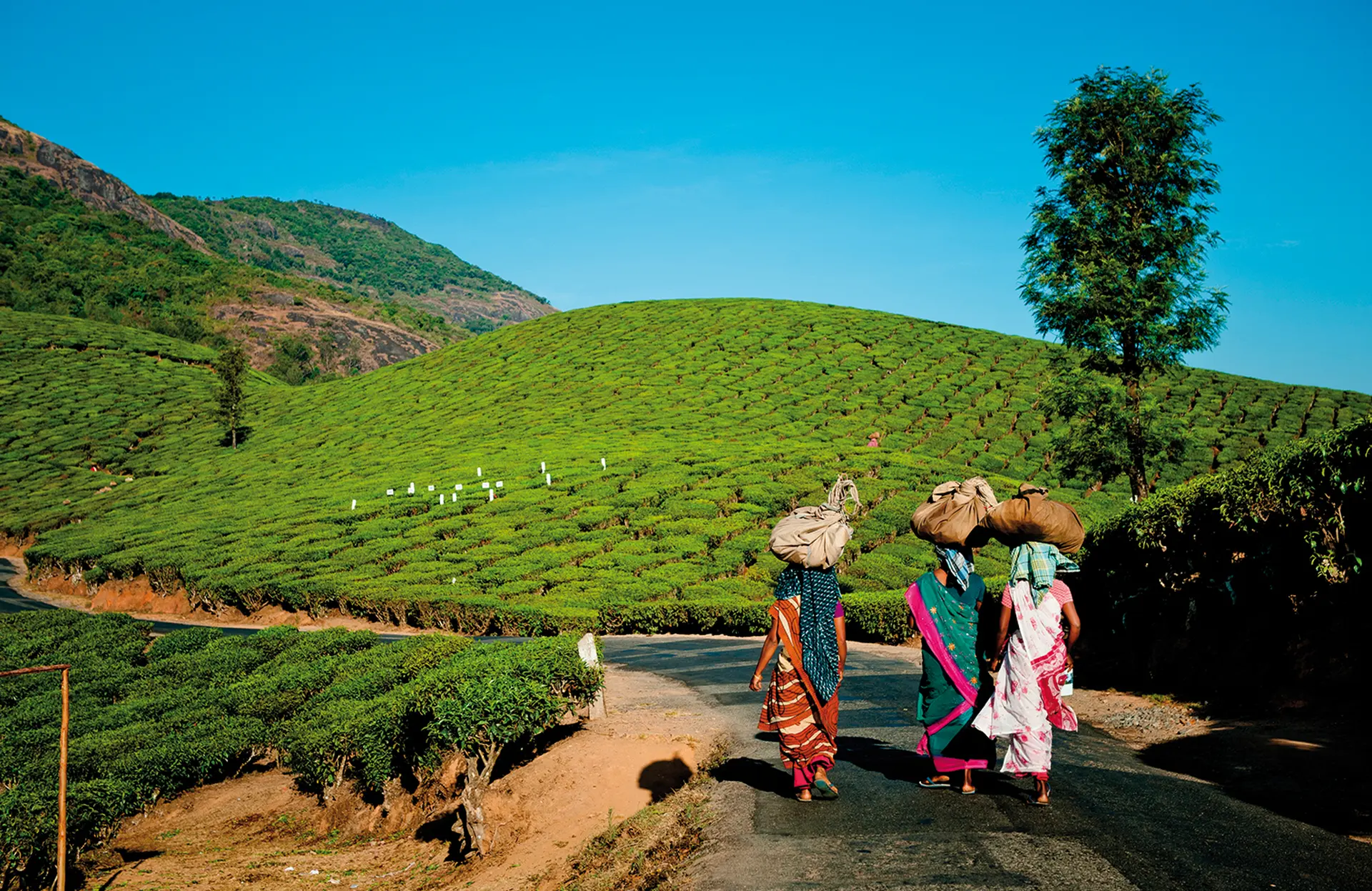 Day 6 - Ooty Toy Train