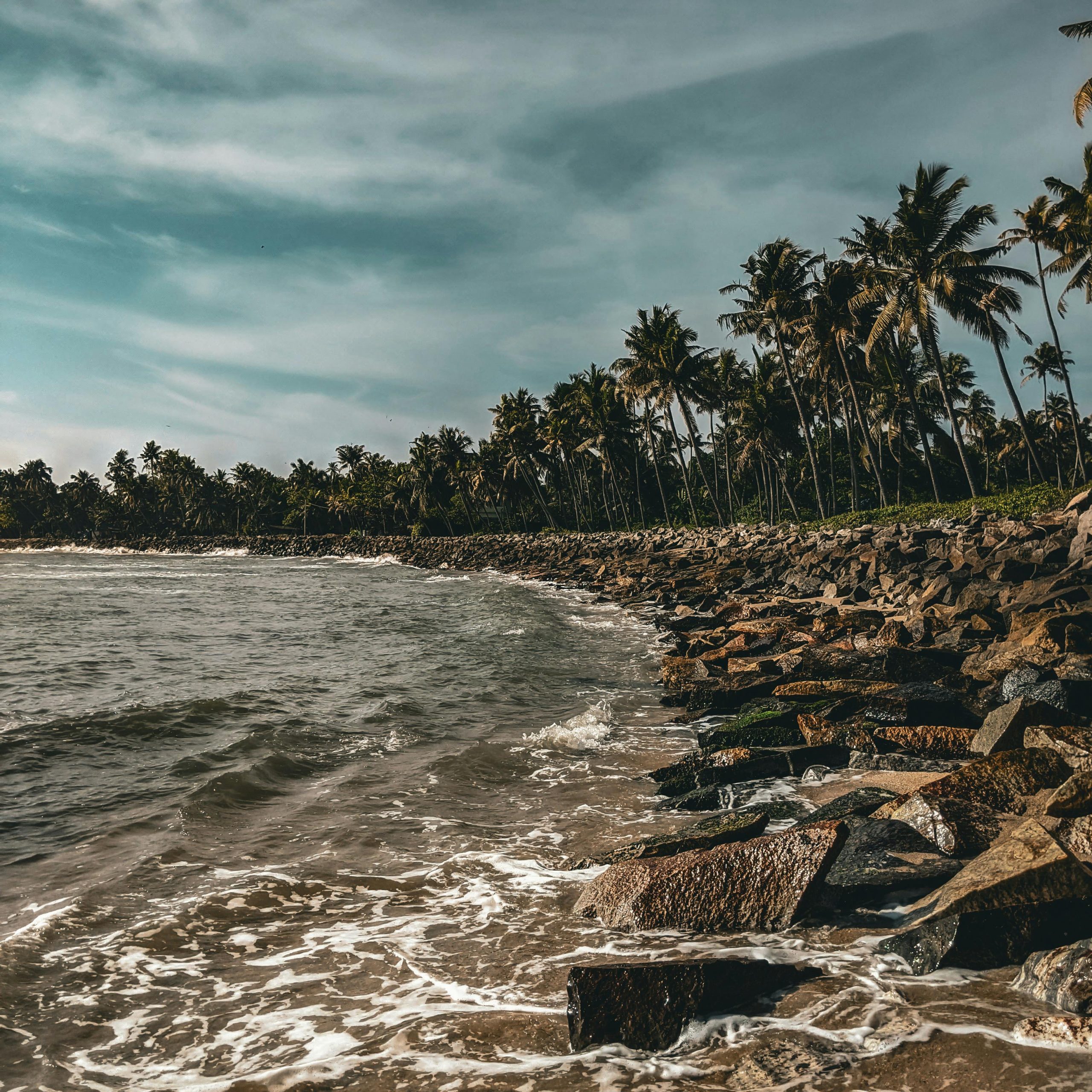 Day 11 - Kumarakom – Kochi –Bengaluru