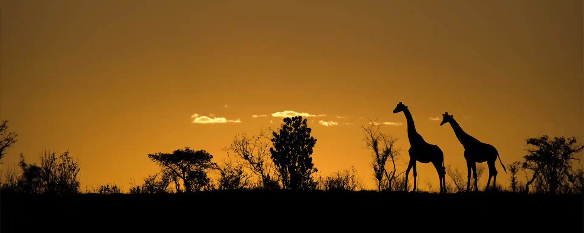 Day 1 – flight to Kochi